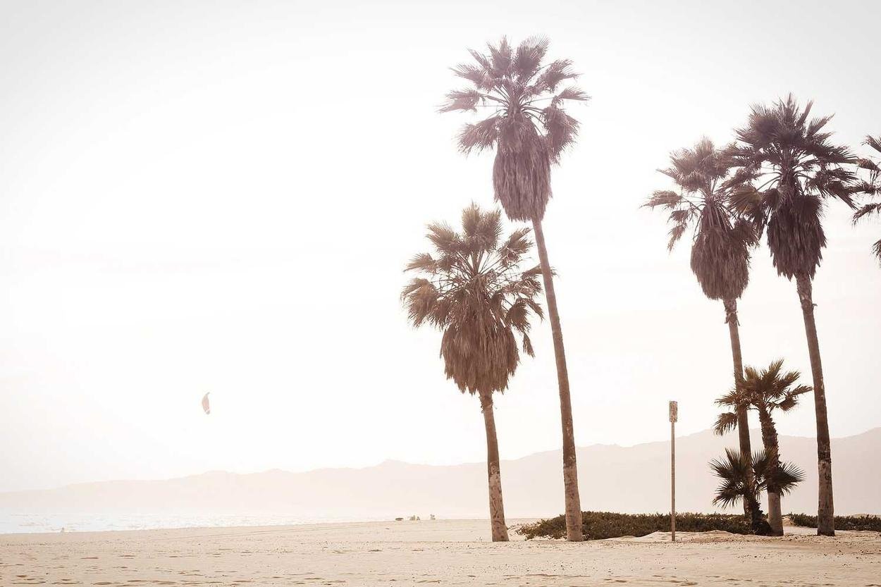 Dolor quam recusandae nisi corrupti occaecati asperiores omnis